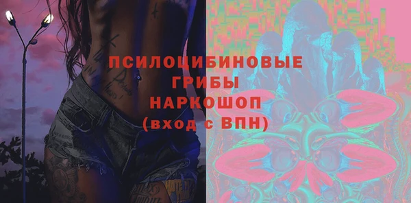 тгк Алзамай