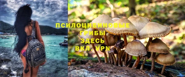 тгк Алзамай