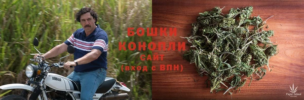 шишки Алексин