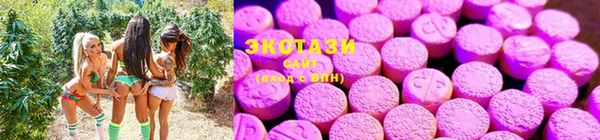 шишки Алексин